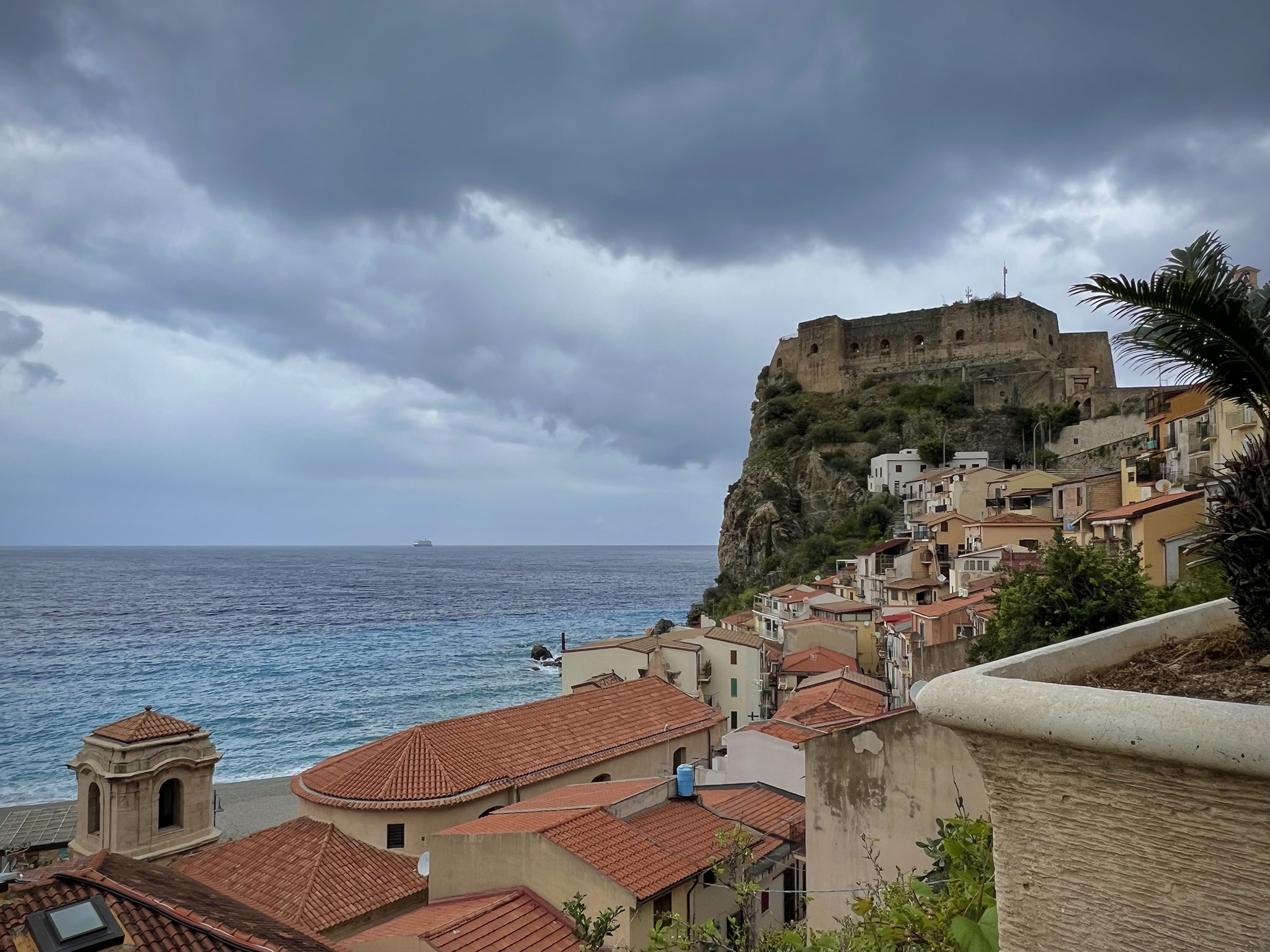 Scilla